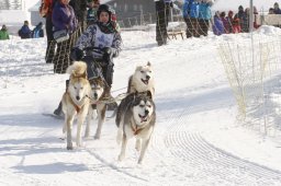 Lenk 2012 SM